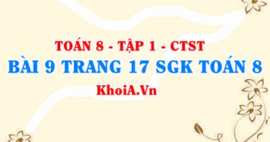 Bài 9 trang 17 SGK Toán 8 Tập 1 Chân trời sáng tạo